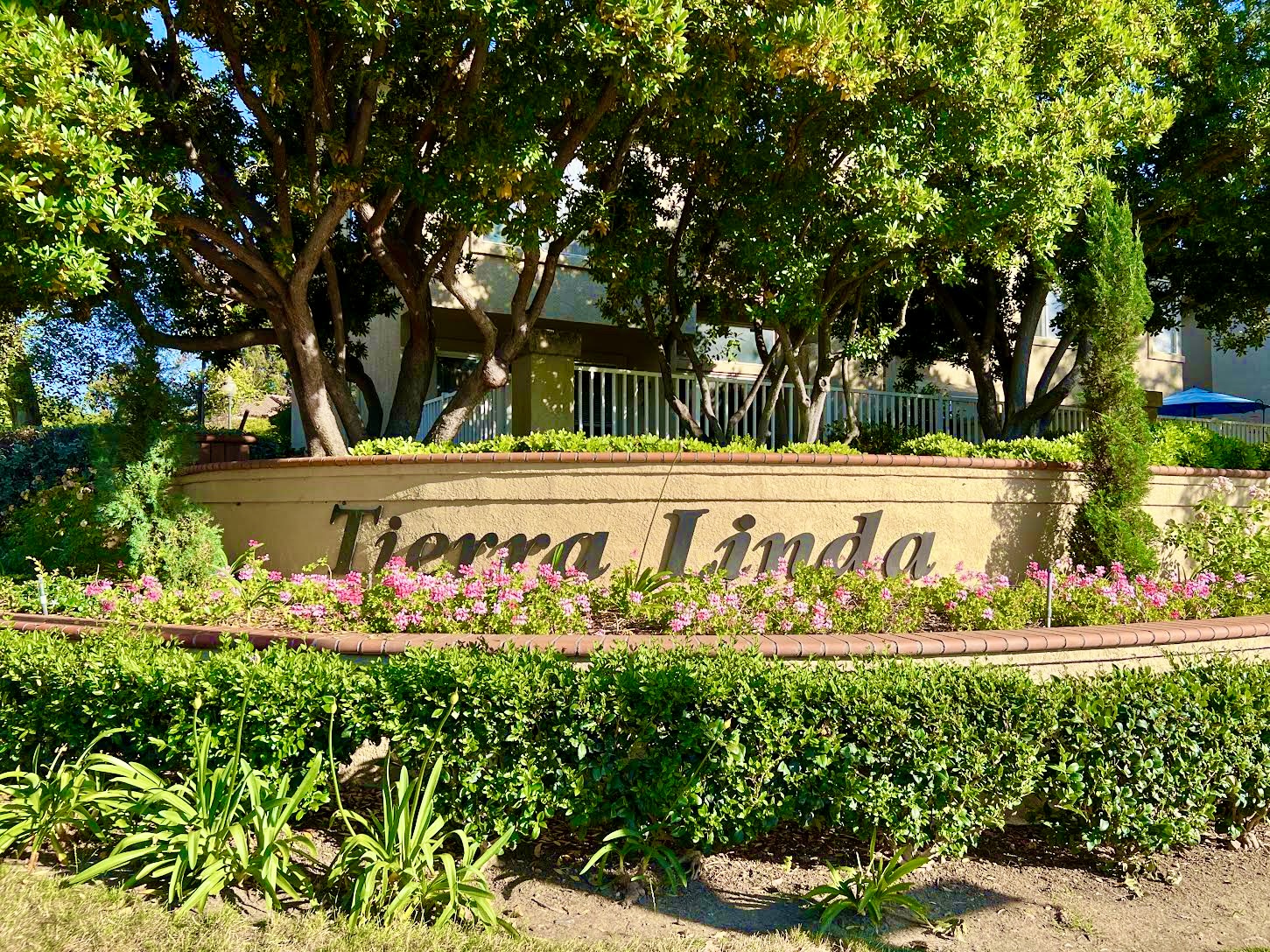 Everything About Condos for Sale in the Tierra Linda Condos in RSM